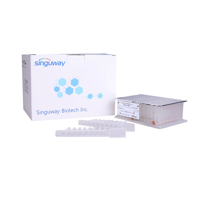 Purification virale acide nucléique trousse Singuway d'ARN de trousse Magnetic Beads de purification d'ADN