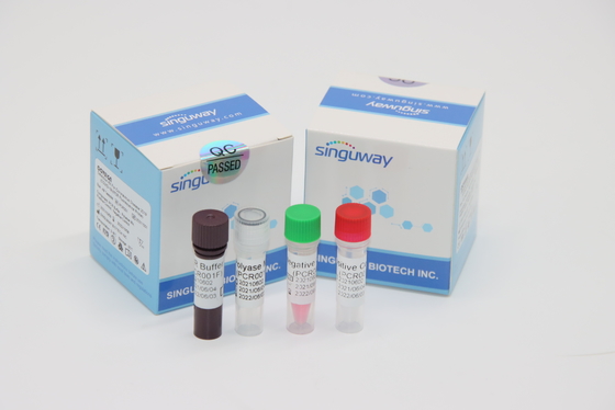 ACP trousse Nasal Swab Within diagnostique du virus droite de bacille de la tuberculose 30 minutes