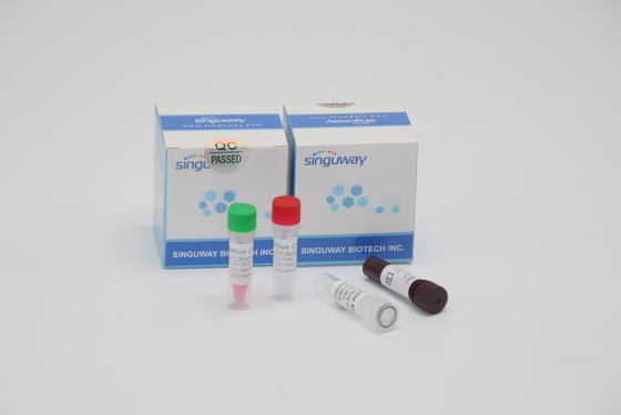 Essai rapide de virus de trousse Quantitative Fluorescent For HFMD d'essai d'ACP de droite