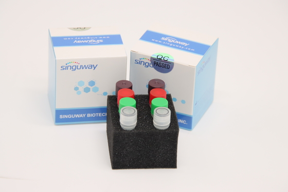 CE en temps réel fluorescent de trousse Laboratory Use d'essai du trousse HSV2 d'ACP de HCV droite