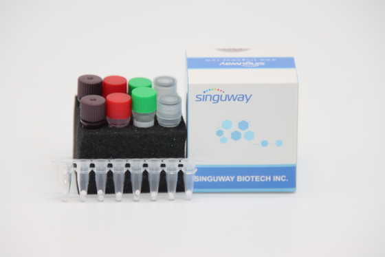Virus rapide quantitatif du virus H7N9 d'ACP trousse For Avian Influenza A d'IVD droite
