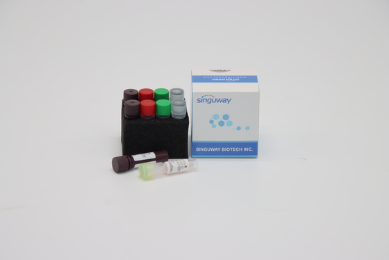 CE un virus rapide en temps réel de trousse For Hepatitis B d'essai du trousse HSV d'ACP d'étape