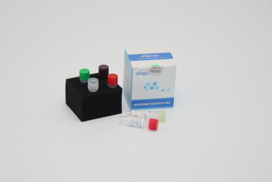 ACP ultra-rapide de trousse Reagents Required For de détection d'ACP d'ADN de virus de la rage