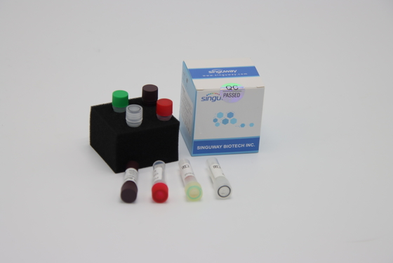 trousse 48 d'essai d'ACP du virus droite d'influenza aviaire trousse nasal d'essai d'écouvillon de 96 essais