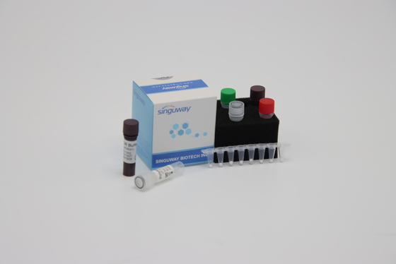 Détection quantitative d'ACP de diagnostic moléculaire trousse Reagent ISO13485 dans un délai de 30 minutes