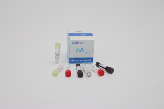 Détection trousse Nucleic Acid Genetic Testing d'ACP d'ORF1ab HPV pour le diagnostic clinique