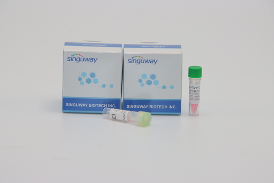 Essai de trousse Quantitative Fluorescent For Genetic de détection d'ACP de virus de Singuway HSV II