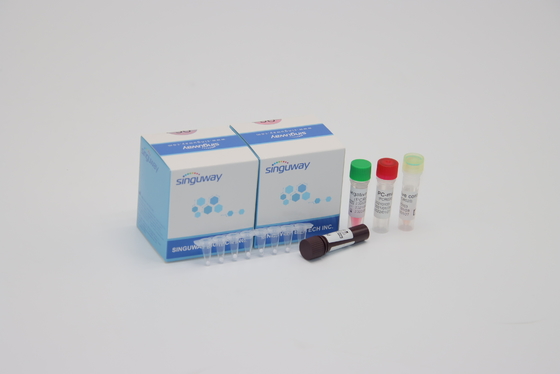 Détection diagnostique virale syncytiale respiratoire trousse Nasal Swab d'ACP du trousse RSV d'ACP de droite