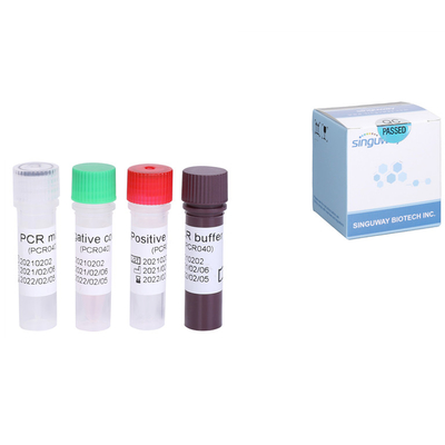 Kit rapide d'ACP de Kit Quantitative HCV droite d'essai de l'ARN HCV de virus de l'hépatite C