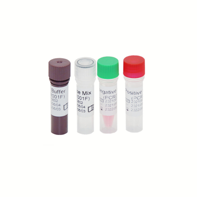 Essai Kit High Sensitivity d'ACP du génome droite de HBV HCV HIV-1 30 IU/ML