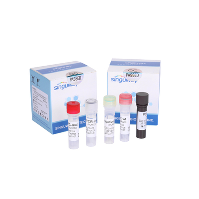 trousse ultra-rapide extrêmement sensible de détection d'ACP de trousse Fluorescent Probe droite d'essai d'ACP de droite