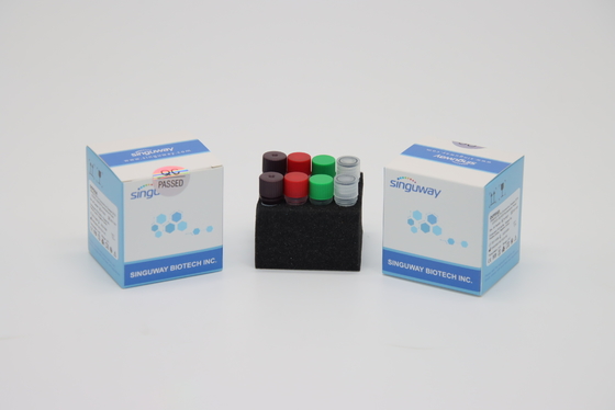 Super Sensitive de trousse Collection IVD d'essai d'ACP du virus de la rage H1N1 droite pour l'hôpital