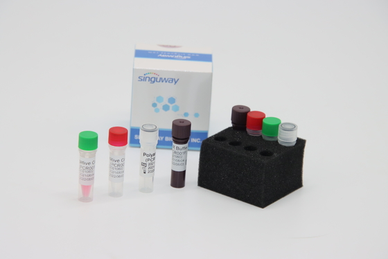 Réactif de laboratoire fortement précis oral du trousse IVD de collection d'ACP de l'écouvillon droite pour l'essai de virus d'ADV