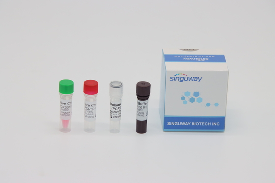 CMV essai trousse Real Time Nucleic Acid d'ACP du virus droite examinant ISO13485