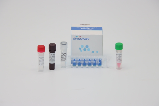 HPV 16 trousse nucléique ISO13485 d'essai d'ACP de l'essai acide droite de 18 virus