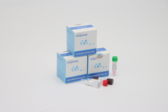 Haute précision de RSV du virus droite d'ACP d'essai de diagnostic clinique instantané rapide du trousse POCT IVD