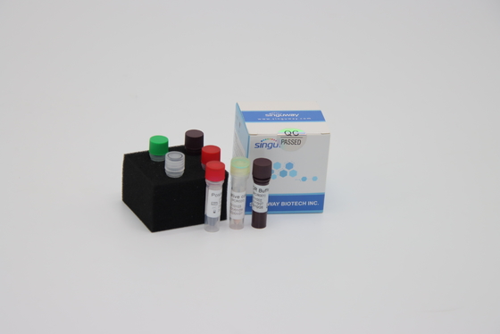 Détection en temps réel rapide multiplex de trousse Reagents For Sars Virus de détection d'ACP du laboratoire droite