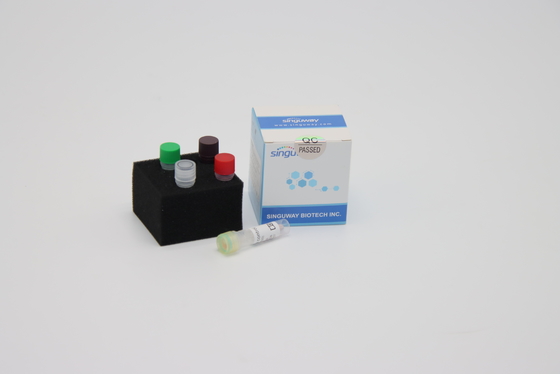 Réactifs de haute fidélité Singuway d'ACP du trousse droite d'ACP de transcription d'inverse d'ADN de polymérase