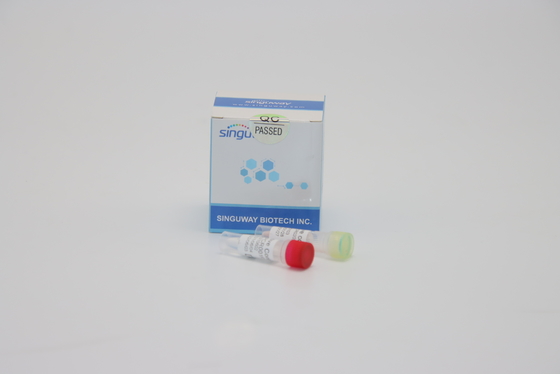 trousse de essai acide nucléique d'ACP d'ACP trousse Nasal Swab Fluorescent droite de la dengue droite