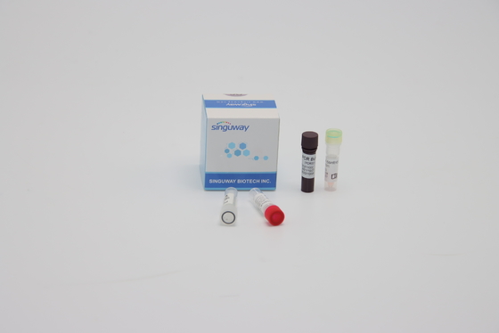 Réactifs quantitatifs ISO13485 de réaction d'ACP de multiplex témoin oral d'écouvillon