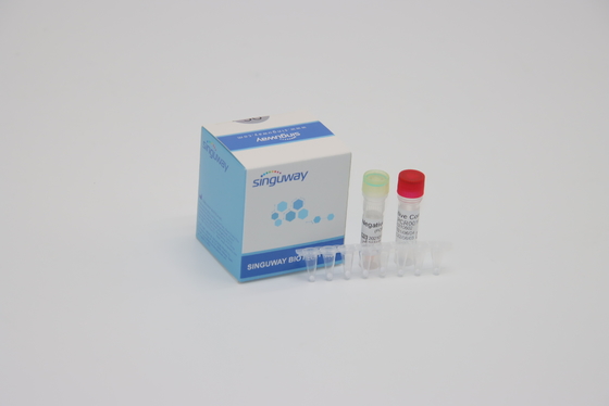 Fluorescence en temps réel clinique de réactifs d'ACP du diagnostic IVD sondant un trousse d'ACP d'étape