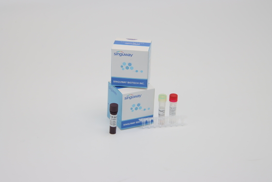 Réactifs en temps réel multiplex d'ACP trousse Coronavirus Nucleic Acid Detection de Super Sensitive