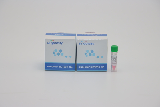 Pylores rapides HP d'ACP trousse Lab Reagent For Helicobacter de l'étape droite de haute précision un