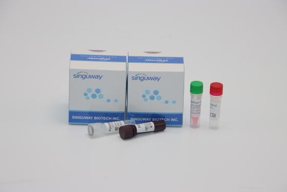 Essai d'adénovirus d'ADV de trousse Nasal Swab Sample For de détection d'ACP d'investigation de fluorescence