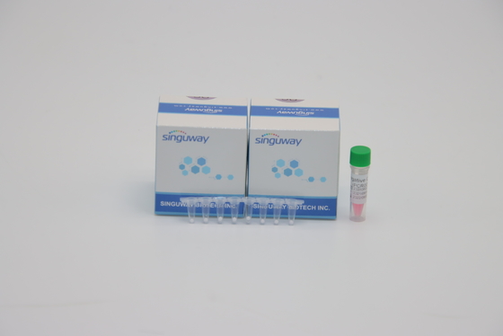 ADN de trousse de détection d'ACP de TB de bacille de la tuberculose du laboratoire POCT IVD examinant ISO9001