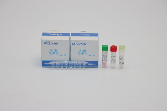 trousse d'essai d'ACP d'HIV d'essais d'ACP trousse Highly Sensitive 96 de temps réel d'étape de la grippe B un de la grippe A