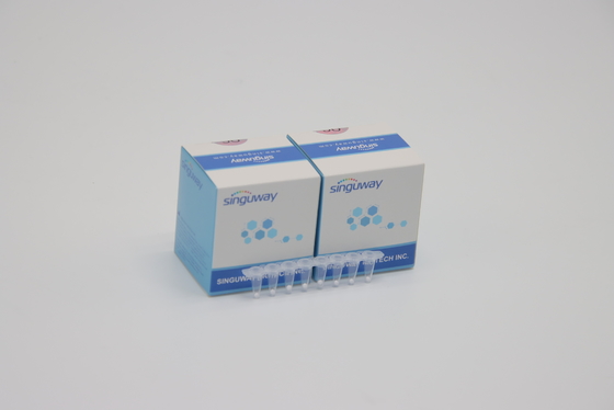 Essai rapide en temps réel de forte stabilité trousse Lab Reagent ISO13485 de l'hépatite B du trousse HBV d'ACP de HCV