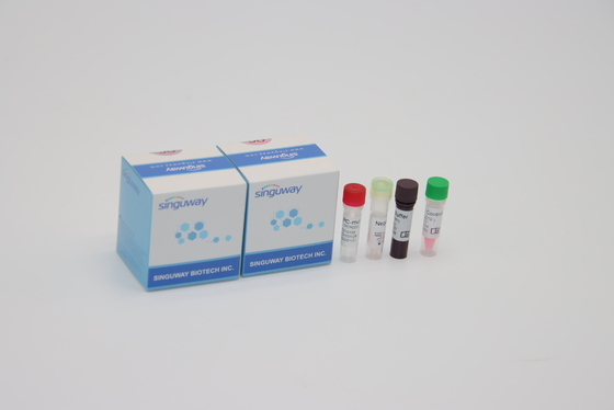 Étape d'Alpha Beta Delta Gamma Mutations One QPCR trousse Oral Swab For Lab utilisant