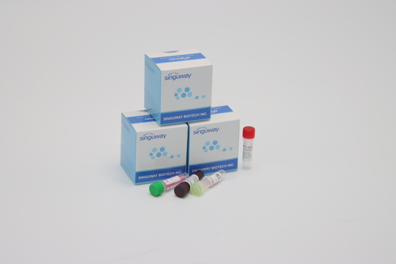 trousses diagnostiques en temps réel d'ACP d'essai de syndrôme respiratoire aigu grave de la CE ultra-rapides d'ici 30 minutes