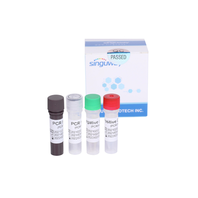 trousse rapide O nord-est Gene Detection Fluorescence Probe d'essai d'ACP du syndrôme respiratoire aigu grave droite de Singuway