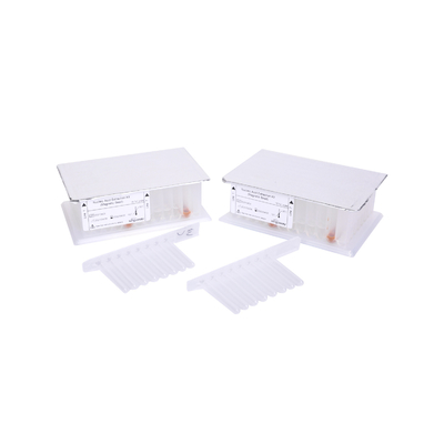Extraction acide nucléique trousse Purification système témoins magnétiques de la perle 32