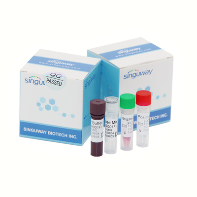 Détection nasale trousse Molecular Diagnostic Test d'ACP de mutation de Covid Omicron d'écouvillon