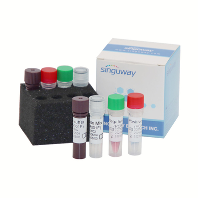 Sensibilité qualitative à la maison du volume 2000 Copies/ML de MTHFR Gene Test Kit 50uL