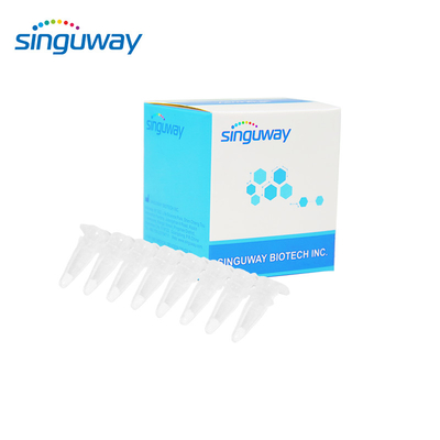 15 types ACP qualitatif en temps réel Kit For Human du kit 40uL HPV d'ACP de HPV